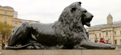 trafallion